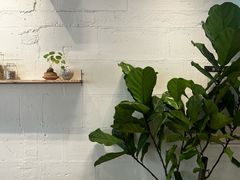 -喜茶(上海打浦桥日月光gelato lab+店)
