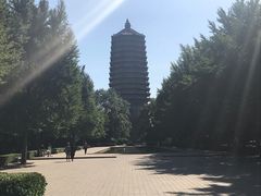 -玲珑塔公园