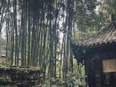 -望江楼公园