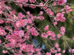 -白塘生态植物园