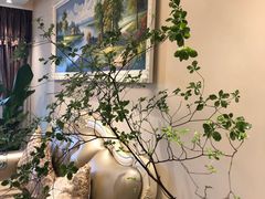 -双季花艺园艺市场(浦东店)