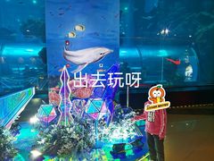 -乐从天佑城海洋馆
