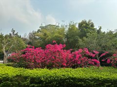 -深圳国际园林花卉博览园