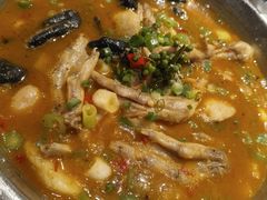 -老号尤兔头(幸福店)