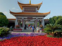 -橘子洲景区