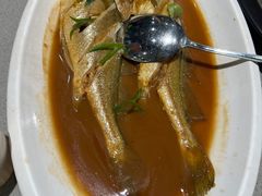 -大锅强·蒸海鲜青岛菜(吾悦广场店)