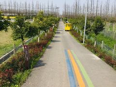 -上海长兴岛郊野公园