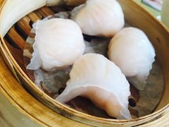 晶莹鲜虾饺-添好运点心专门店(百老汇店)