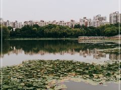 -新江湾城公园