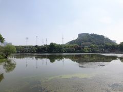 -月湖风景区