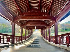 -长广溪湿地公园