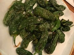 -Tapa Tapa