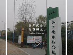 -长白岛森林公园