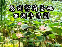 -惠州西湖丰渚园