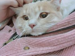 -瑞鹏宠物医院·爱宠堂(环西分院)