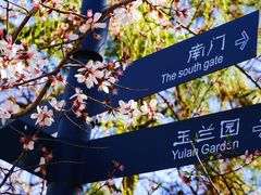 -迎泽公园