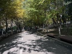 -长白岛森林公园
