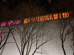 -嘉华国际影城(学清路店)