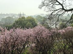-无锡梅园公园