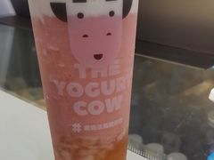 -一只酸奶牛(八一路店)