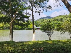 -番禺大夫山森林公园