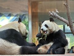 -西安秦岭野生动物园