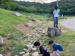 -羊山湖公园