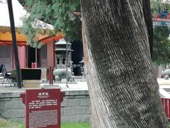 -黄帝陵