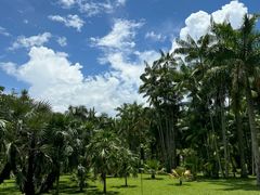 -中国科学院西双版纳热带植物园