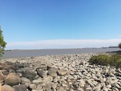 -吴淞炮台湾湿地森林公园烧烤区