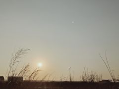-海堤纪念公园