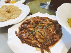 -新日月育才大酒店-中餐厅(环城北路店)