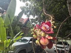 -柬埔寨国家博物馆