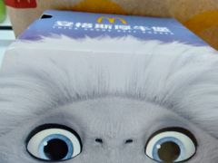 -麦当劳(济泺路店)