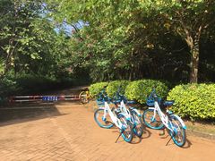 -白沙门生态公园