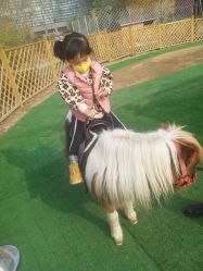 -萌宠亲子动物乐园(槐房万达店)