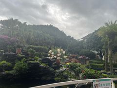 -官房大酒店•驼峰自助餐厅
