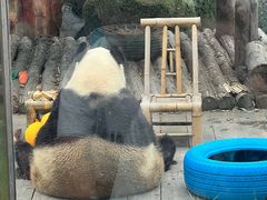 -大连森林动物园