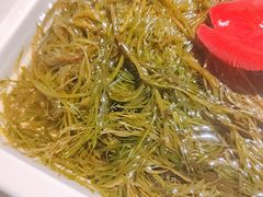 长寿菜-川锅一号火锅(1818牌楼店)