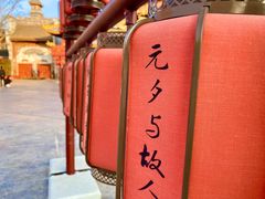 -海花岛旅游度假区