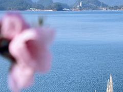 -千岛湖天屿景区