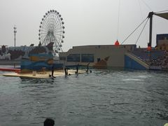 -秦皇岛乐岛海洋王国