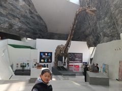 -中华赏石园