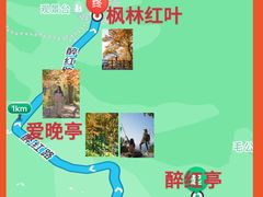 -广州市石门国家森林公园