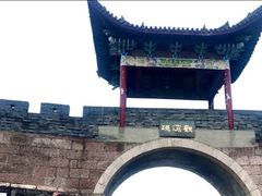 -黄贤森林公园