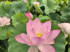 -南戴河国际娱乐中心