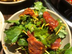 香菜牛肉-四小区火锅·巷子里的重庆火锅(花照壁店)