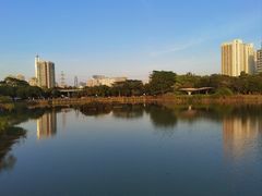 -福田红树林生态公园