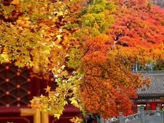 -香山公园