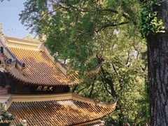 -狼山风景名胜区